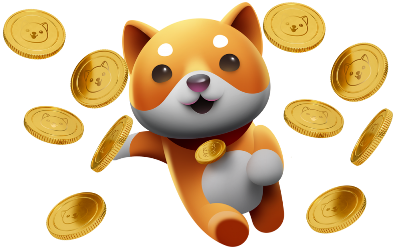 Baby doge Help